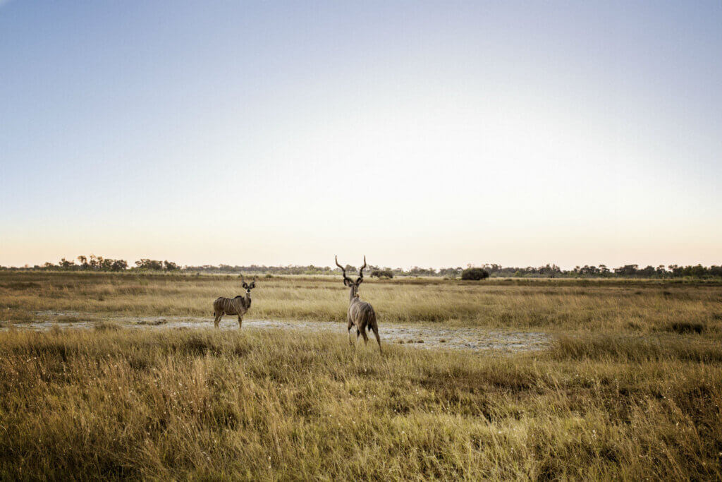 Botswana