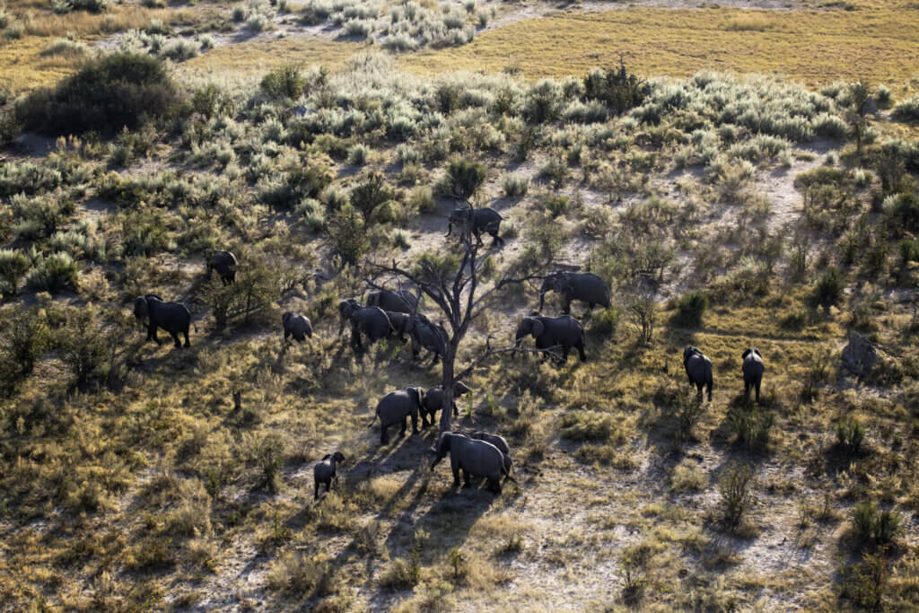 Botswana