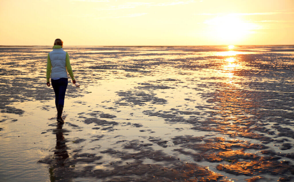 Wattwanderung Wattenmeer Cuxhaven Nordsee