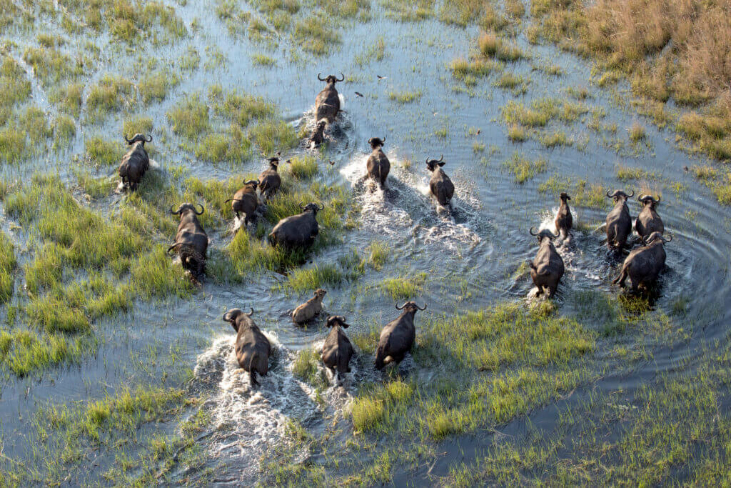 Botswana Okavango Delta