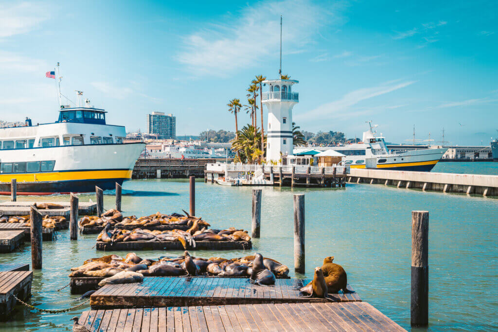 San Francisco, Pier 39