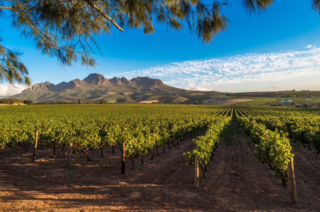 Südafrika, Stellenbosch