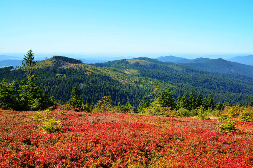 Deutschland, Bayerischer Wald