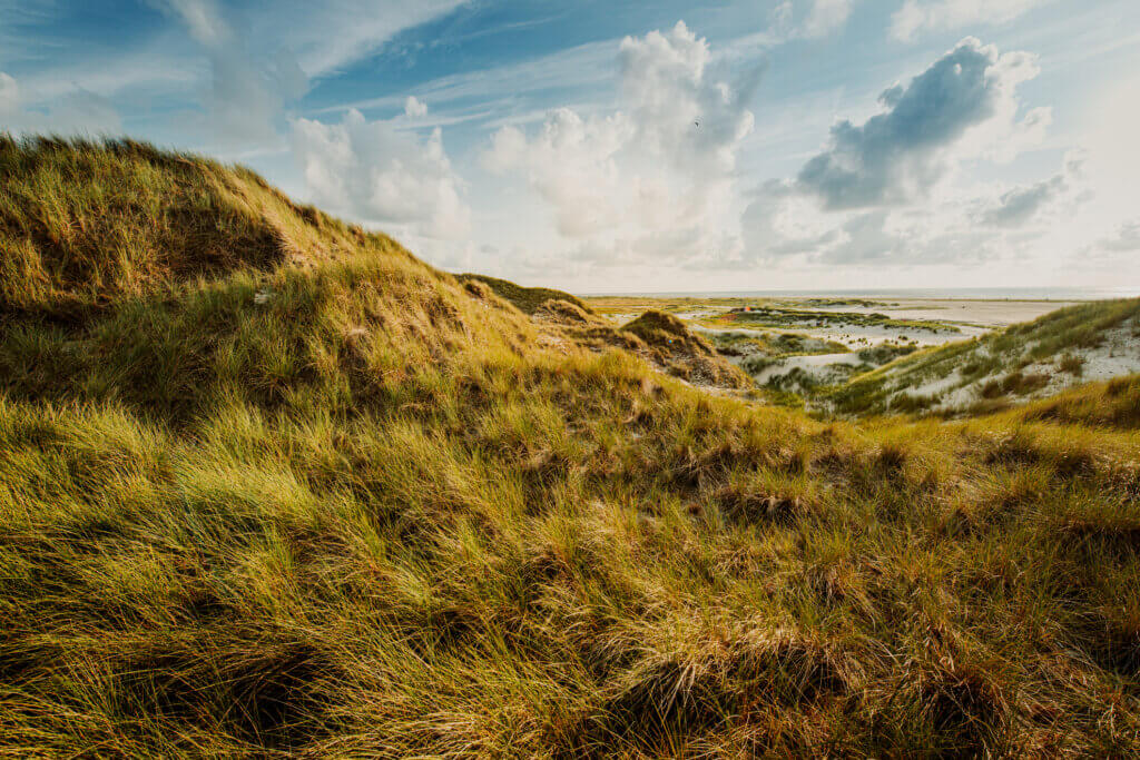 Wattenmeer