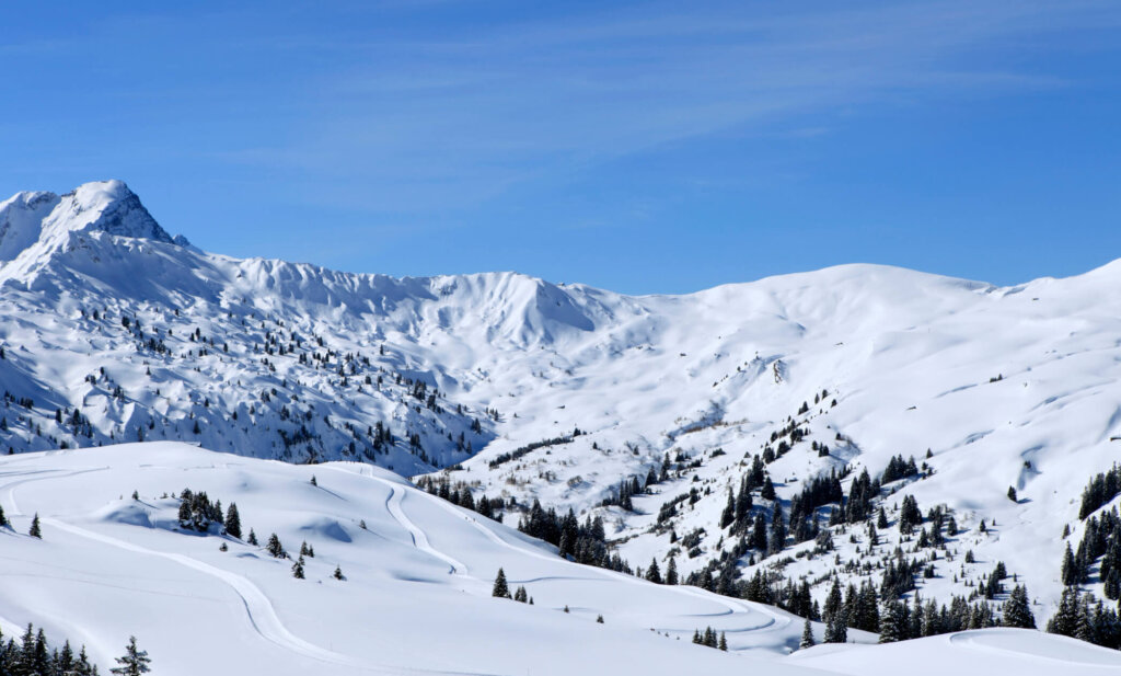 Schweiz, Alpen