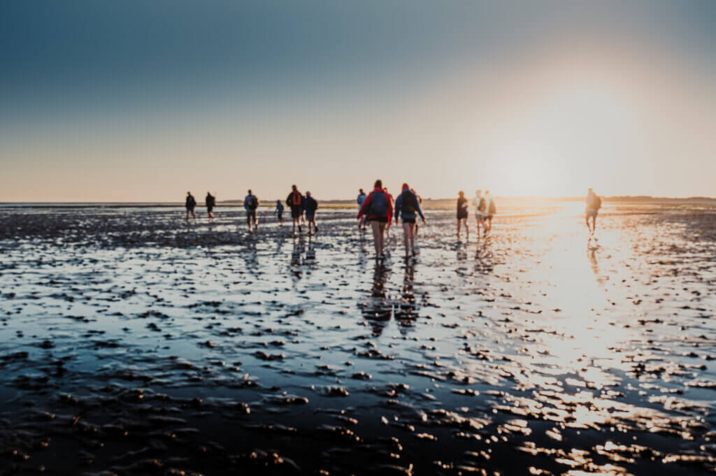 Wattenmeer