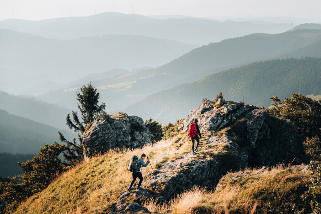 Schwarzwald