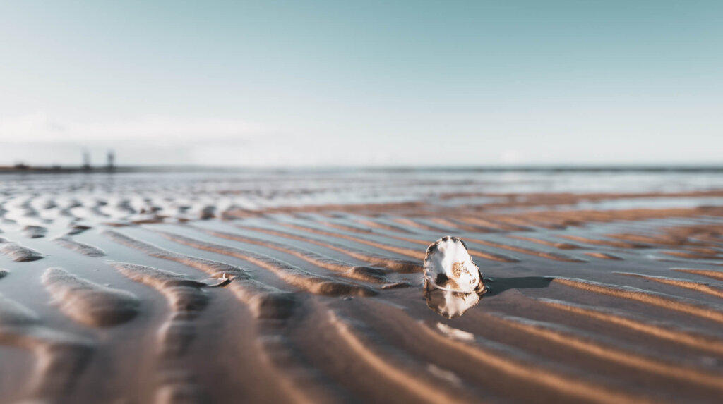 Wattenmeer