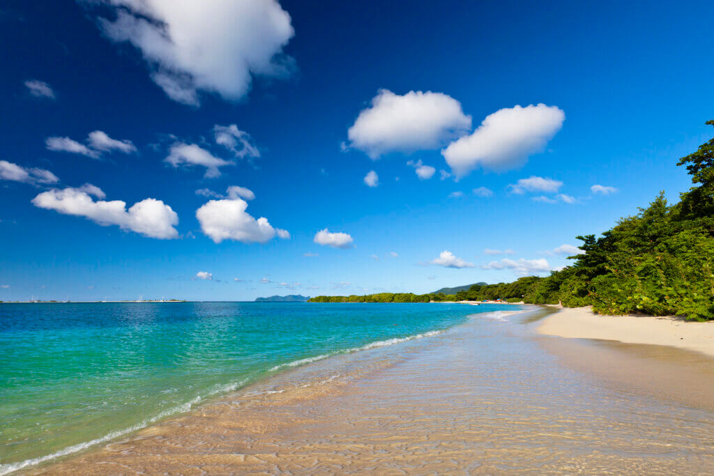 Grenada Paradise Beach
