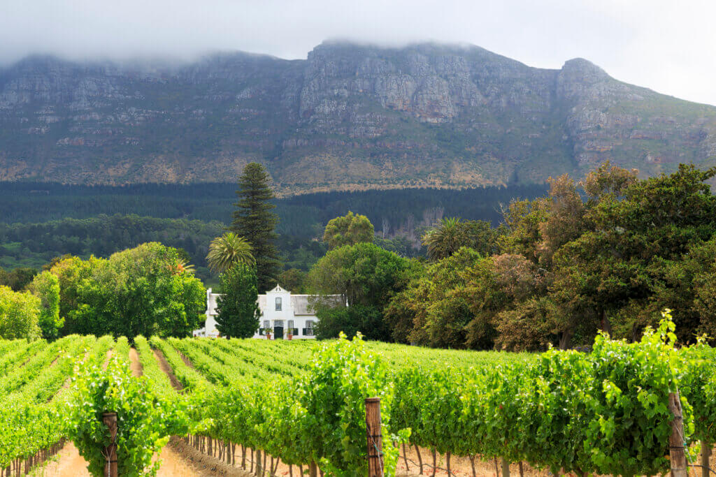 Südafrika Stellenbosch