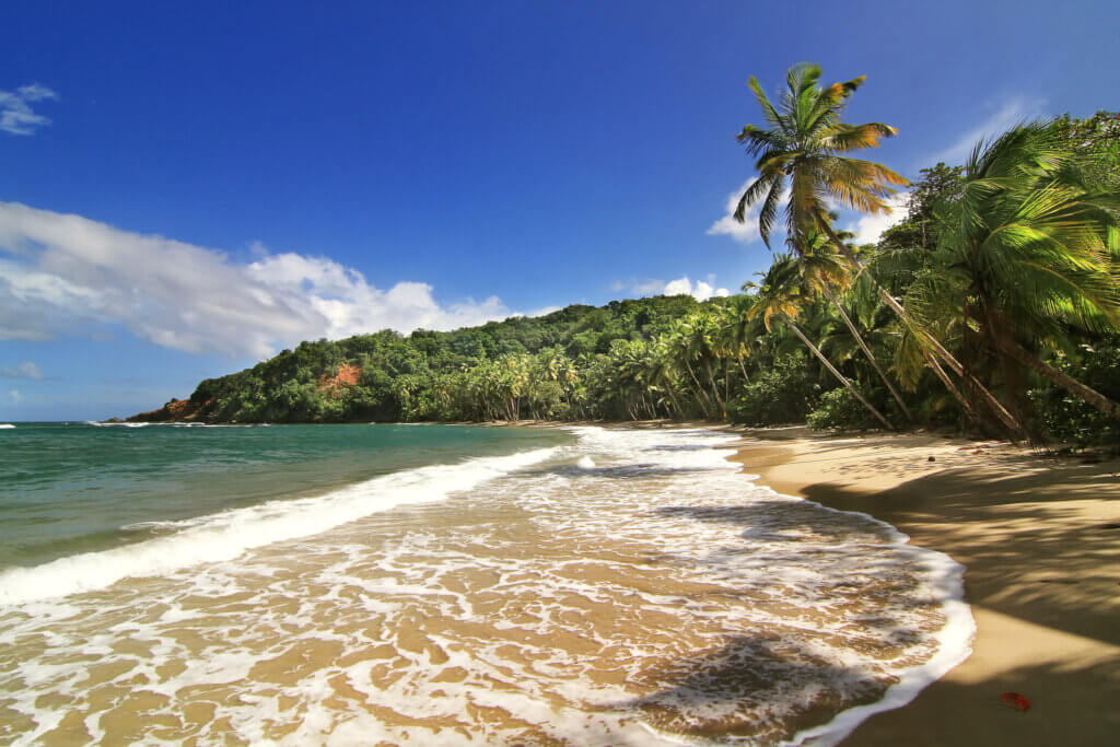 Dominica Strand