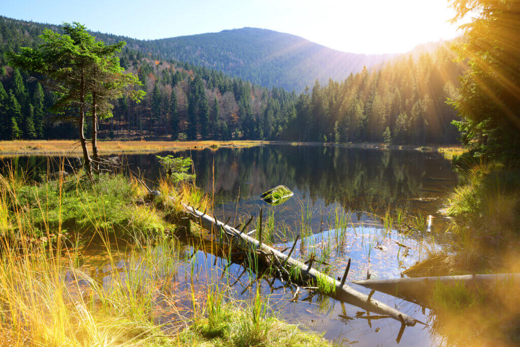 Deutschland, Bayerischer Wald