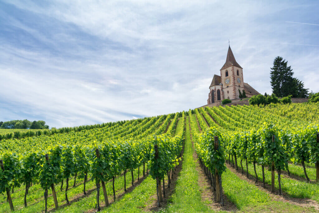 Weintour ins Elsass