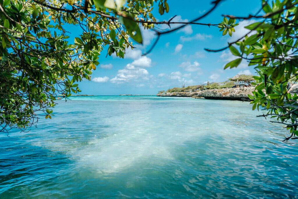 Aruba Mangel Halto Beach