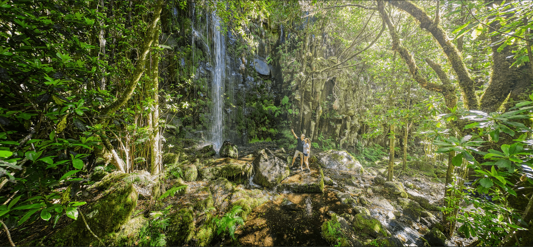 Madeira Natur