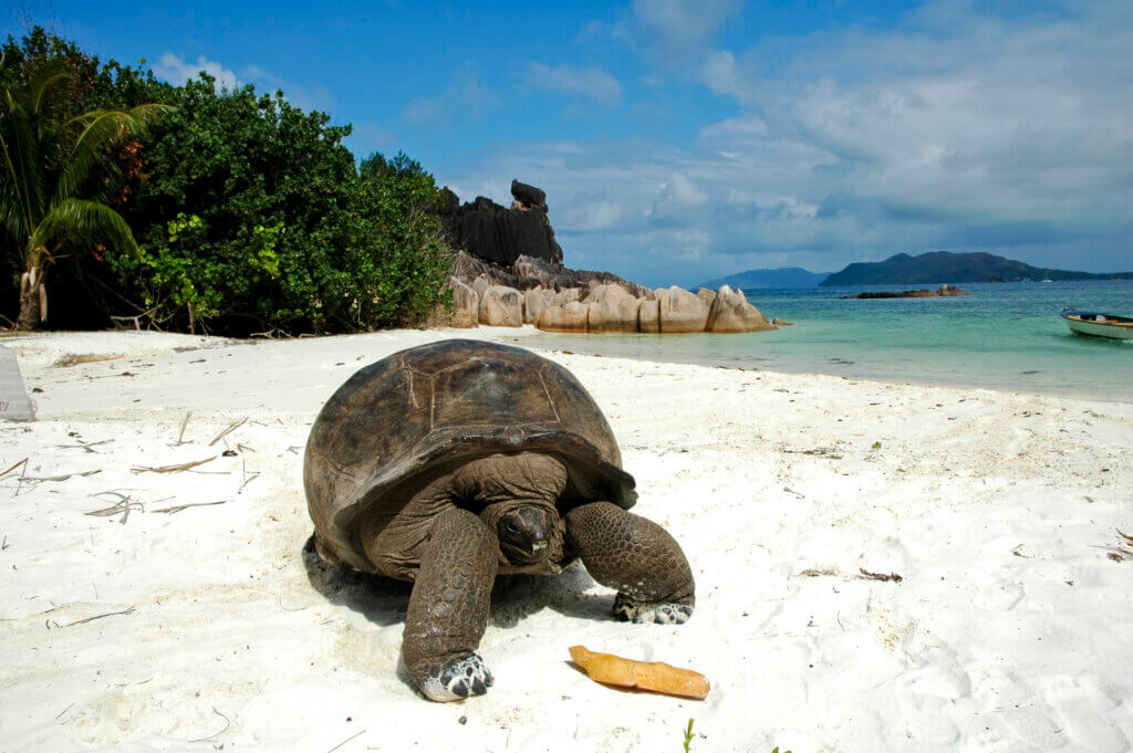 Seychellen