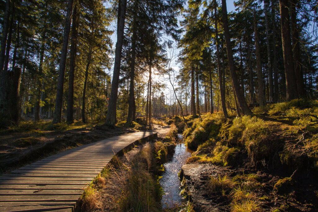 Schierke _Harz_Brocken_Deutschland