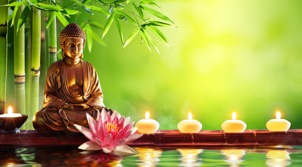 Wellness Buddha Ayurveda