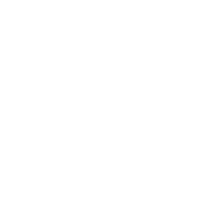 Trusted Travel Team