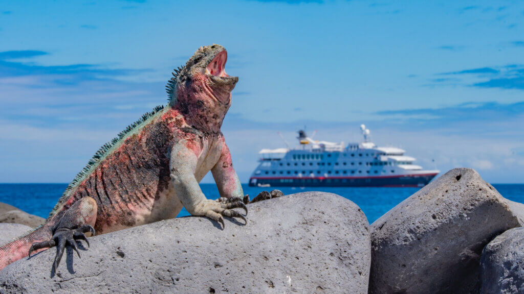 Hurtigruten Galapagos_Ecuador © Dennis_Ballesteros