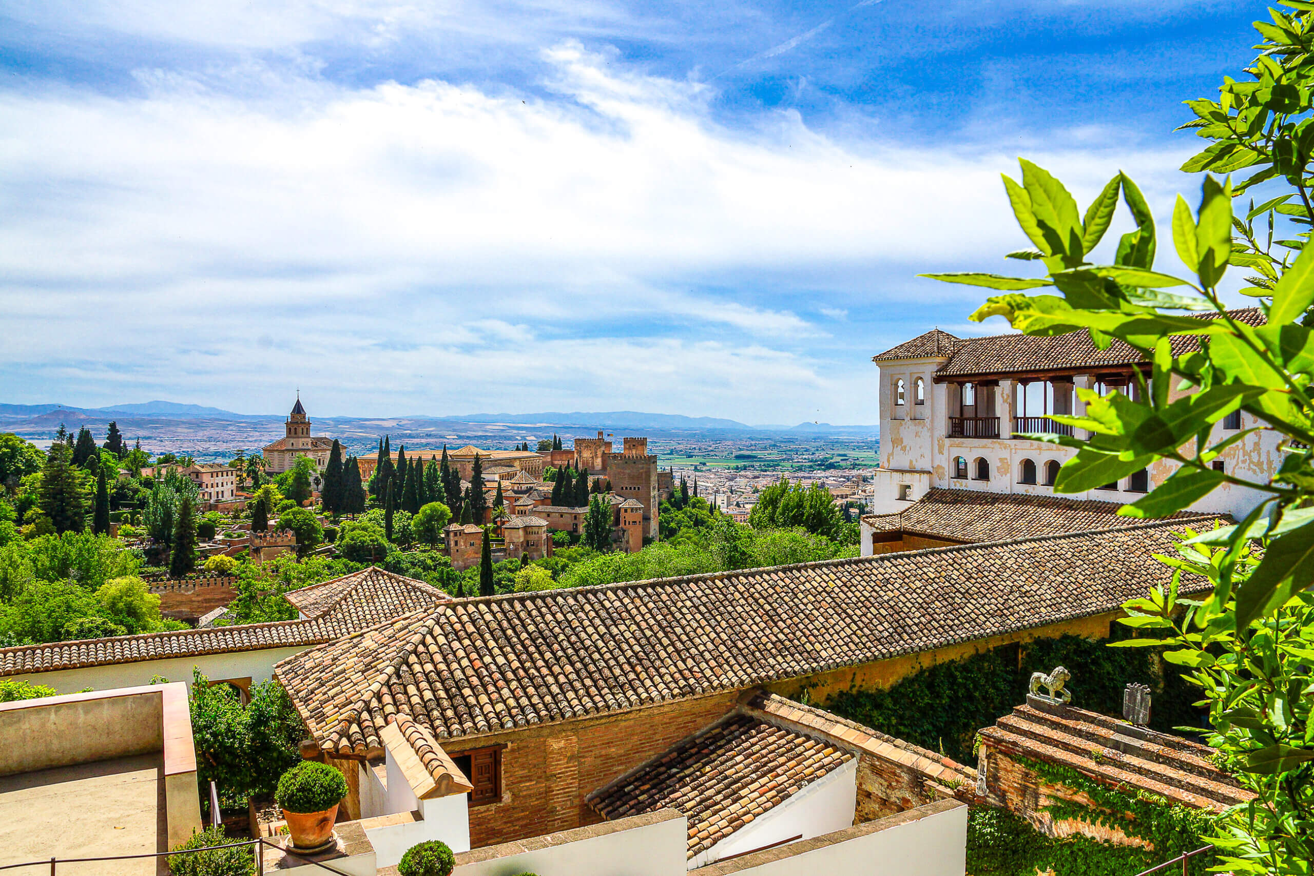 Chamäleon Spanien Alhambra