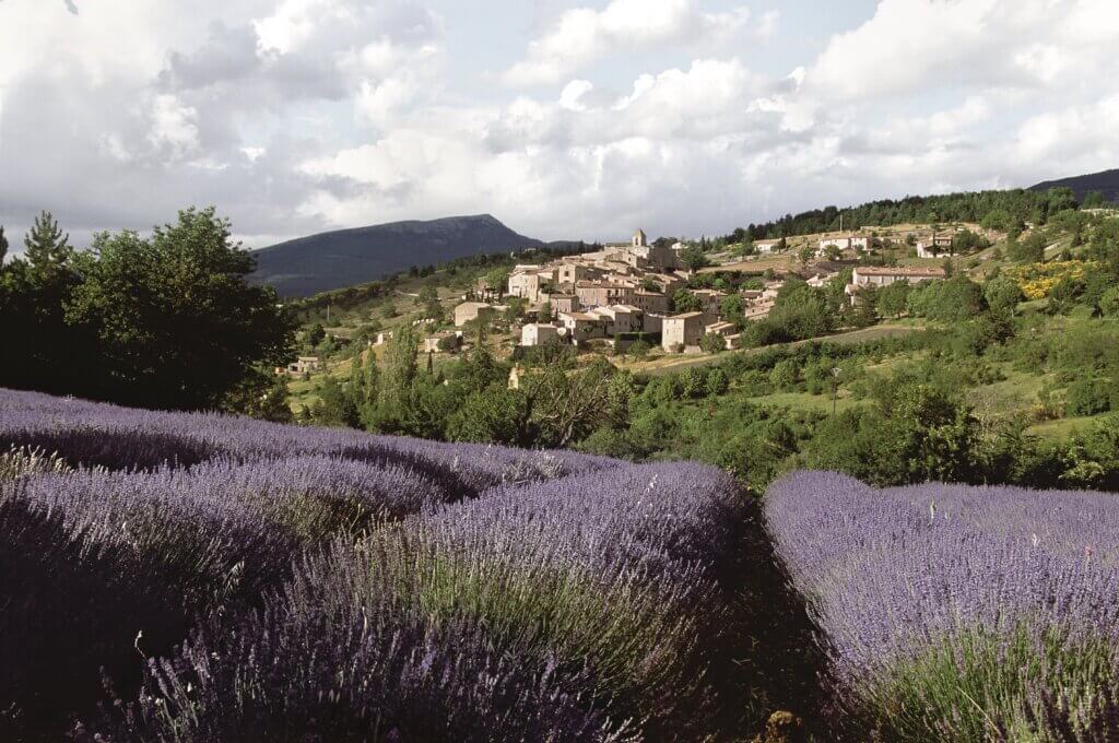 a-rosa Lavendel Provence Rhone