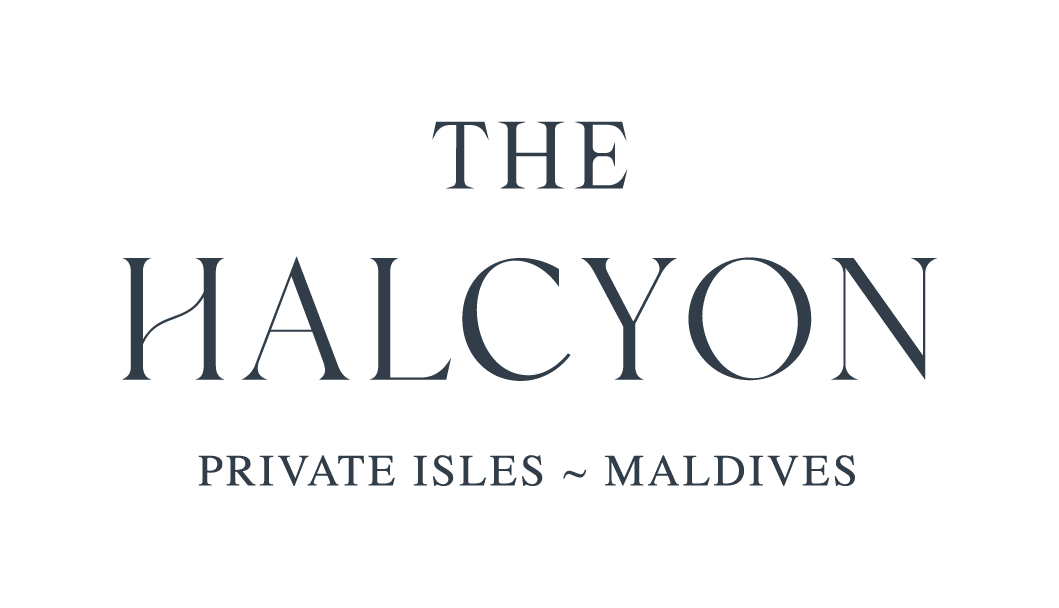 Elegantes Logo mit dem Text The Halcyon in großer Schrift und Private Isles ~ Maldives in kleinerer Schrift darunter, alles auf hellgrauem Hintergrund.
