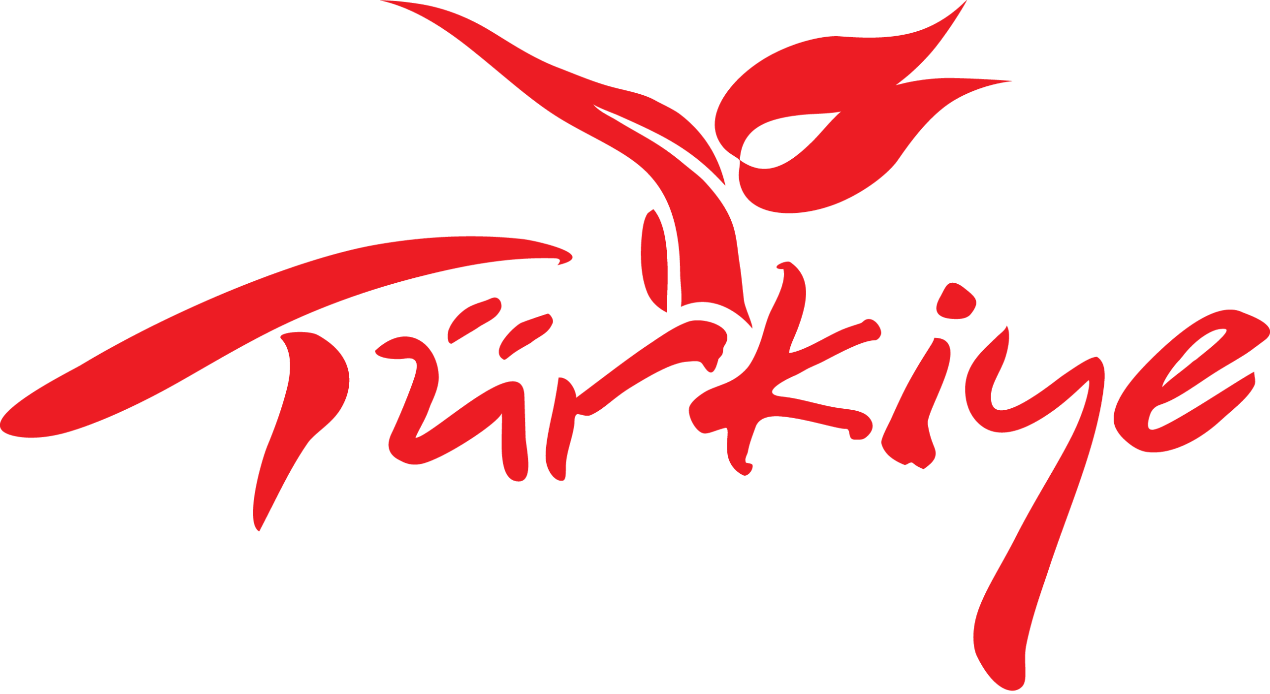 Rote, stilisierte Kalligrafie des Wortes Türkiye mit einem Tulpenmotiv über dem u, das die Türkei symbolisiert, auf weißem Hintergrund.